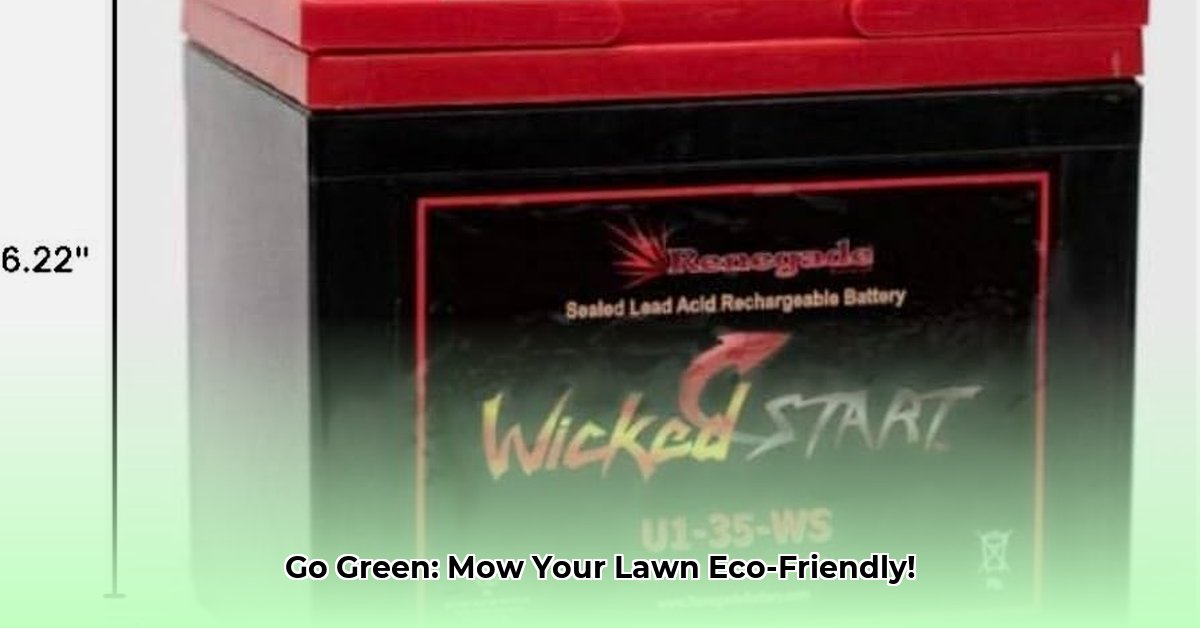 lawn-mower-batteries-tractor-supply